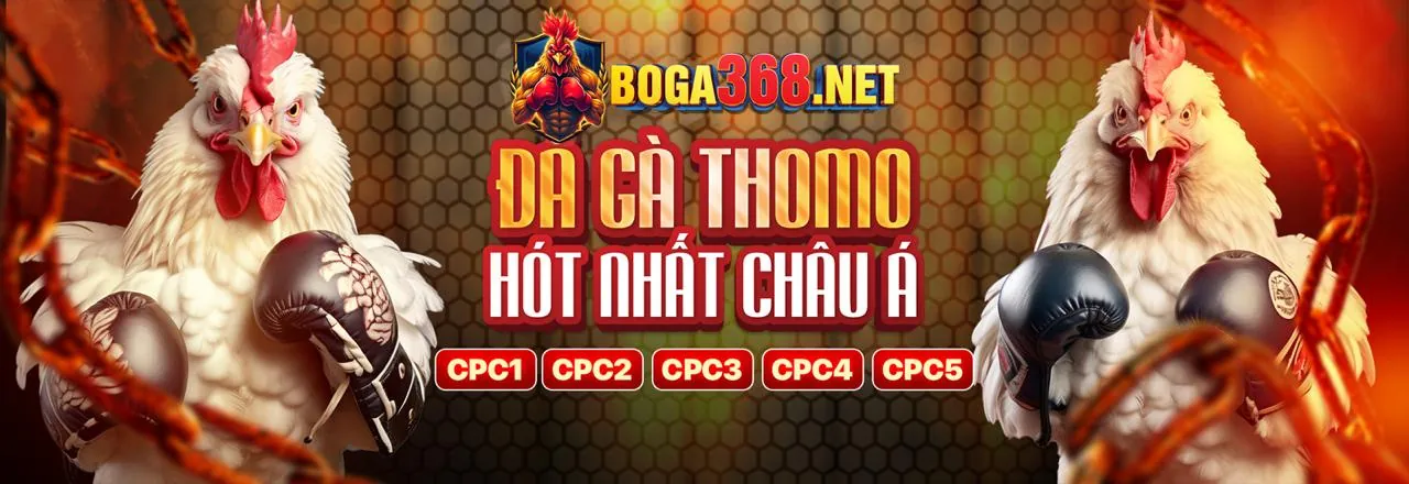 Sự kiện và trải nghiệm VIP đẳng cấp từ 79bet