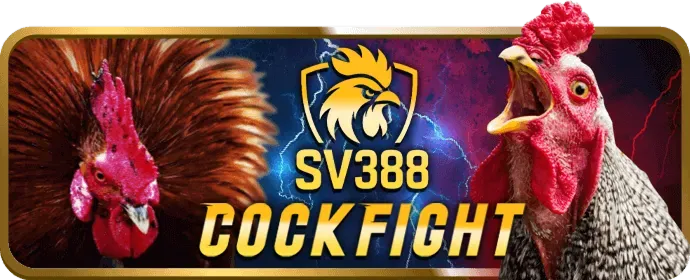 Hướng dẫn từng bước nhận khuyến mãi 79bet